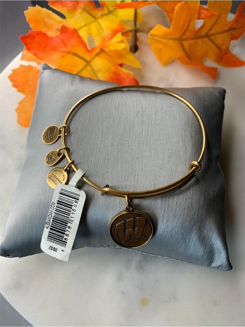 Bracelet with Charms